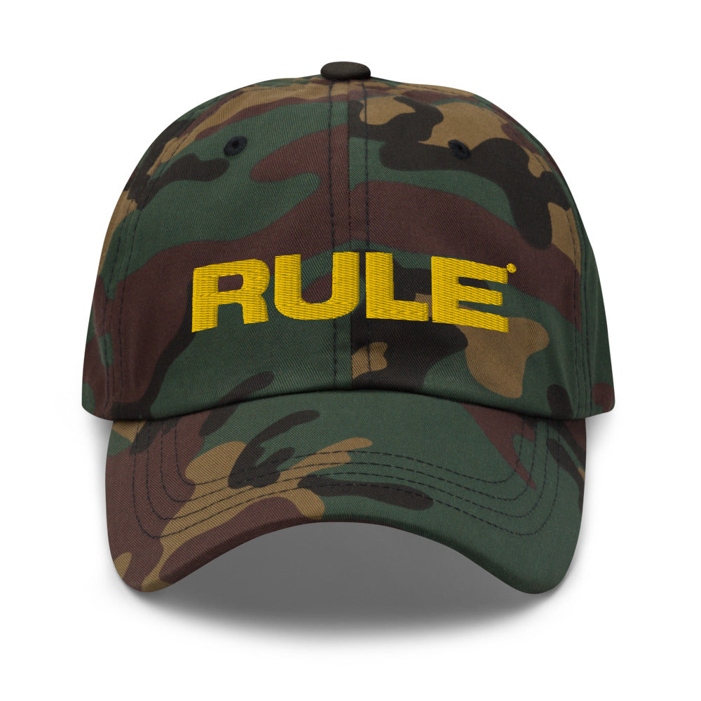 Flex fit hat