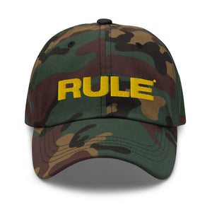 Flex fit hat