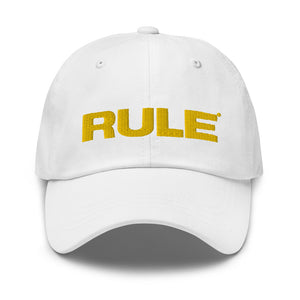 Flex fit hat